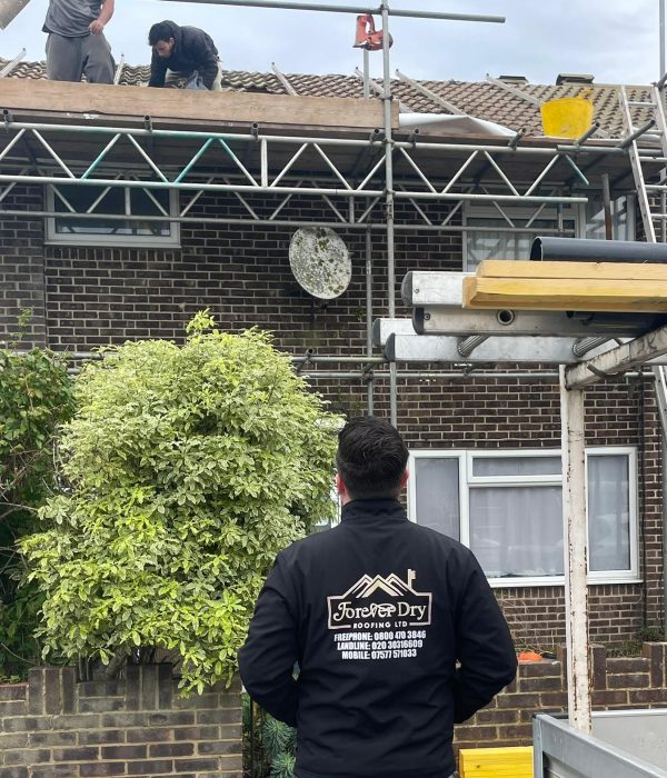 52a086e9-12a0-4386-9842-4d6df19455b2